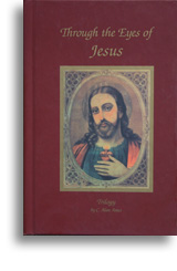Through the Eyes of Jesus Through the Eyes of Jesus
