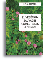 21 végétaux sauvages comestibles à cuisiner