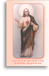 Coeur Sacré de Jésus, broyé à cause de nos péchés,<br>ayez pitié de nous