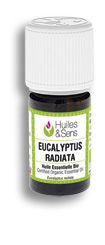 Huile essentielle EUCALYPTUS RADIATA BIO 