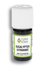 Huile essentielle EUCALYPTUS CITRONNÉ BIO