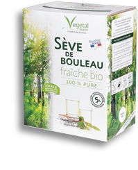 Sève de bouleau fraîche bio